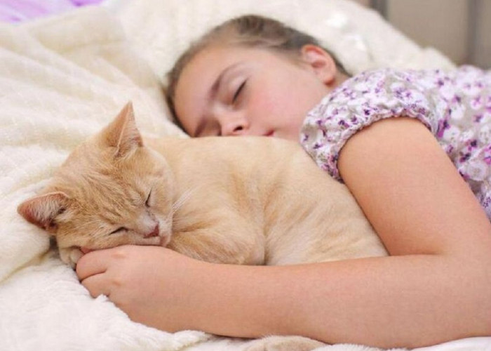 Kenali 5 Penyakit Menular Jika Tidur Bersama Kucing, Para Pecinta Kucing Wajib Baca!