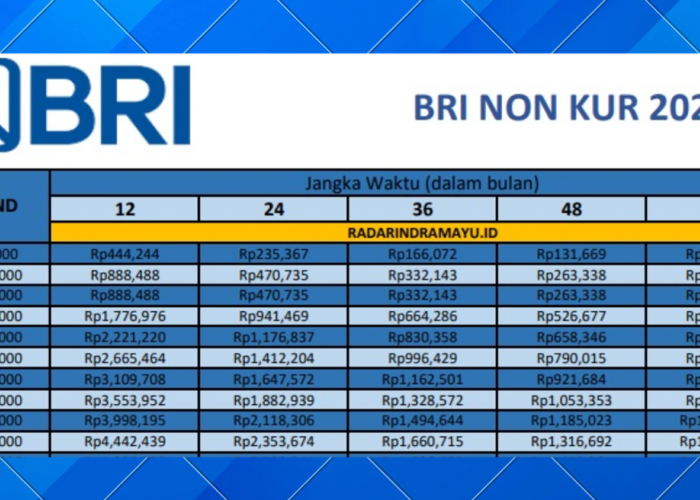 Butuh Dana Cepat? Pinjaman Non KUR BRI 2025 Tawarkan Plafon Hingga Rp50 Juta dengan Cicilan Ringan