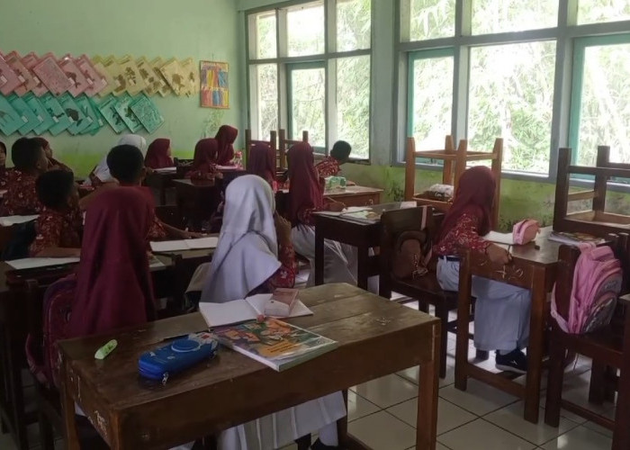 Kawanan Monyet Kembali 'Serbu' SDN 3 Purwasari, Genting Atap Sekolah Dirusak