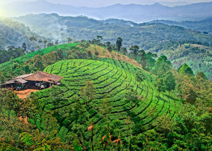 5 Tempat Wisata Murah Meriah di Majalengka, Mulai Rp 10 ribu Bisa Liat Pemandangan Alam yang Eksotis!