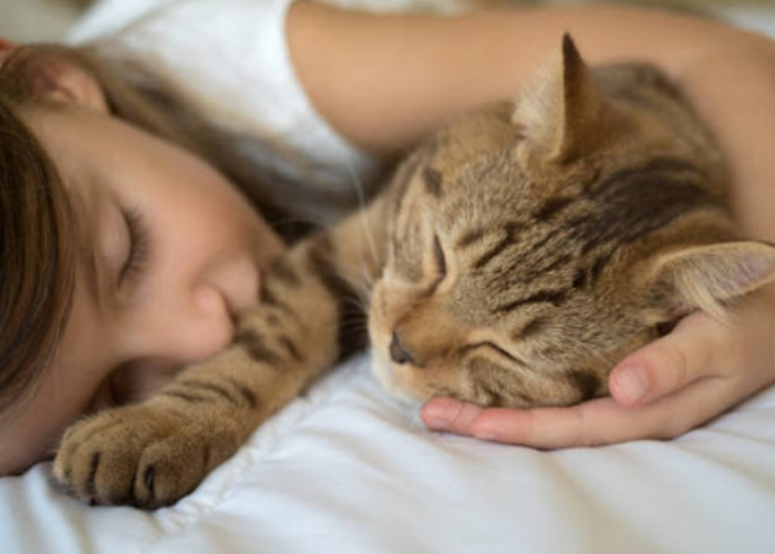 Unik dan Makin Gemas! 4 Alasan Kenapa Kucing Senang Tidur Dekat Pemilikinya, Salah Satunya Bahasa Cinta Kucing