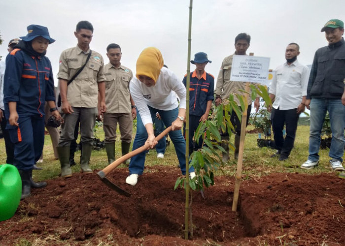 Diapresiasi Ibu Negara, Atalia Ridwan Kamil Kampanyekan Tanam Pohon Buah