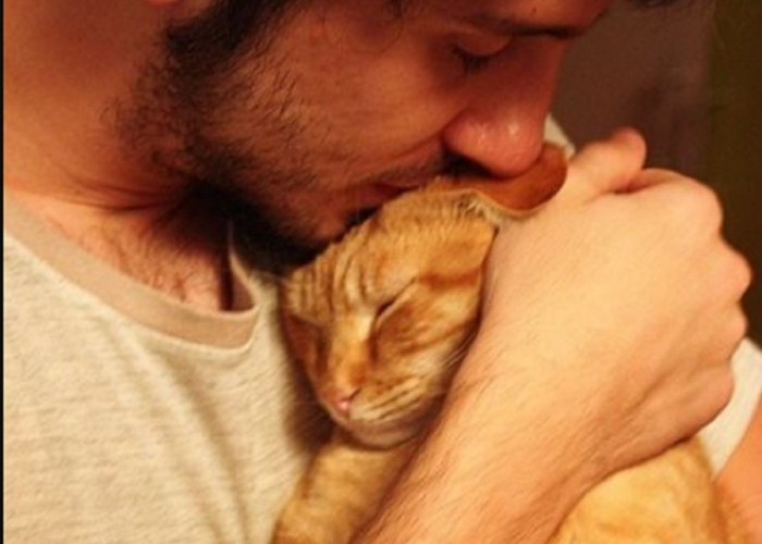 Unik dan Menggemaskan, 7 Cara Kucing Mengucapkan Terima Kasih Kepadamu Yang Jarang Di Sadari
