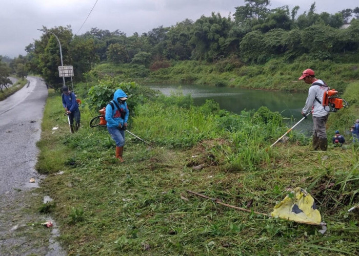 Jaga Ekosistem, Sekeliling Embung Caracas Bakal Ditanami Pohon