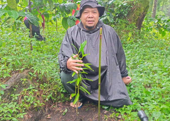 Kolaborasi BTNGC dan Desa Penyangga, Jadi Pilar Utama Pelestarian Gunung Ciremai