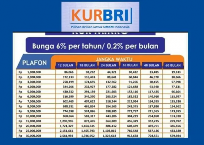 Cicilan Super Ringan Tabel Angsuran KUR BRI Pinjaman 50 Juta, Cek Tips Agar Pengajuan Cepat Dicairkan