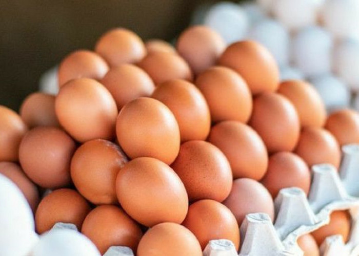 5 Manfaat Konsumsi Telur Setiap Hari yang Perlu Anda Ketahui; Nomor 4 Khusus Buat Kamu yang Sedang Diet!