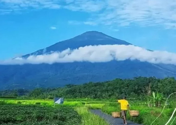 Ketahui, Hal yang Harus Diperhatikan saat Pergi Liburan ke Gunung