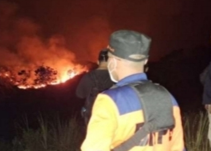 Blok Batu Kuda Gunung Ciremai Terbakar, BPBD Kuningan dan Tim Gabungan Berjibaku Padamkan Api