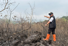 Kebakaran Hutan Gunung Ciremai Capai 40 Hektare, Bupati Kuningan: Api Belum Padam Total