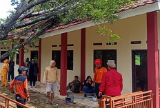 Baru Selesai Dibangun, Rumah Pulung Rusak Tertimpa Pohon