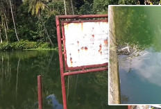 Situ Cikolet Tercemar Limbah Ayam, Warga Ragawacana Keluhkan Bau dan Gangguan Kesehatan