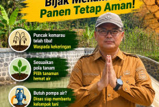Puncak Kemarau, Diskatan Kuningan Imbau Petani Sesuaikan Pola Tanam