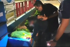 Budidaya Ganja di Rumah, Pria Kuningan Terancam 20 Tahun Penjara