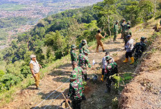 Penanaman Pohon di Gunung Mayana Kuningan, Bagian dari HUT TNI ke-81