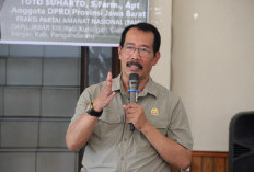 Ledakan Populasi Monyet dan Babi Hutan di Desa Seda, Petani Terancam Tinggalkan Lahan Garapan