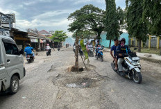 Serempak Perbaiki Jalur Mudik, Jalur Alternatif Cirebon Tuntas H-7 Lebaran
