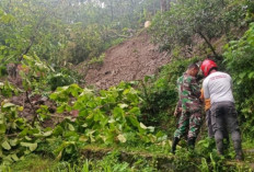 Diguyur Hujan Deras, Tebing Jalan Usaha Tani di Desa Singkup Ambrol Diterjang Longsor