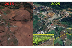 Citra Satelit 2015–2025, Lanskap Arunika, Kini Ruang Hijau yang Kembali Hidup