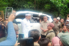 Digaji Rp1,5 Juta Disuruh Rawat Pohon, Solusi KDM Kepada Penambang Liar di Kawasan TNGC