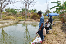 Hari Jadi Kuningan ke-528, UPTD Perikanan Gelar Mancing Bersama