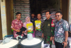 Alhamdulillah, Produksi Melonjak, Kuningan Jadi Lumbung Beras Jawa Barat 
