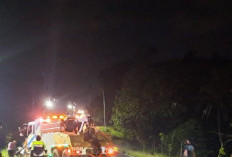 Nyalip di Turunan, Fortuner Terjun: Satu Nyawa Melayang di Jalintim Japara