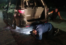 Mitigasi Ular di Kuningan: Damkar Lakukan Penyisiran Dini Hari di Garasi Warga