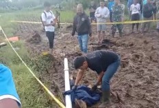 Petani Meninggal Dunia di Sawah, Ditemukan Pipa Paralon di Sekitar Tubuh Korban