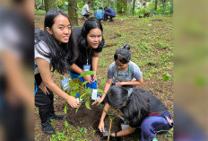 Ratusan Orang Muda Katolik Gelar Penghijauan di Lereng Gunung Ciremai
