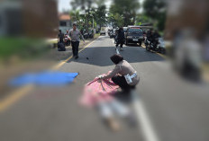 Salip Truk Berujung Maut, Nyawa Remaja Melayang di Sindangagung