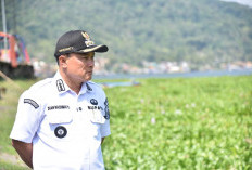 Waduk Darma Dipenuhi Eceng Gondok, Tutupi Permukaan Air Seluas 6 Hektare