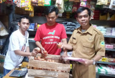 Pekan Terakhir Libur Sekolah dan MBG, Harga Ayam dan Telur Turun, Ketimun Melejit