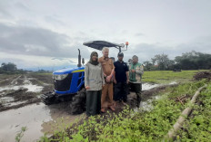 Traktor Roda Empat Mulai Diterapkan di Pertanian Cirebon, Ini Keunggulannya