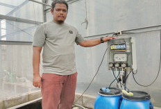 Petani Desa Kaplongan Budidaya Melon Gunakan Internet, Begini Cara Kerjanya