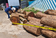 KDM: Pengawasan di Hutan Gunung Ciremai Dinilai Lemah