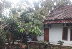 Angin Kencang Terjang Desa Babakanmulya dan Desa Ciherang