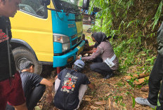Truk Muatan Telur Terbalik, Pengendara Motor Luka Berat