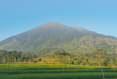 Sawah Hijau, Gunung Ciremai dan Sunset Memikat, Ini Pesona Desa Cidahu Pasawahan