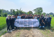 Kuningan Dipilih Jadi Pusat Pengendalian Hama Terpadu Jawa Barat