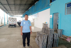 Segini Besaran Gaji yang Diterima Pegawai SPPG Sindang 2 Indramayu