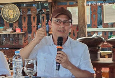 Pembalakan Sono Keling di TNGC Digagalkan, Satu Terduga Pelaku Ditangkap