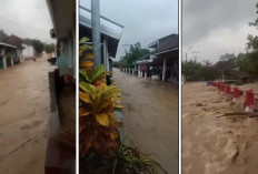 Tidak Hanya Sungai Cikaro, Sungai Cijurai Ikut Meluap