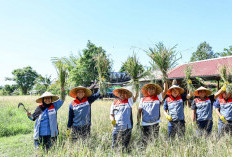 Dari Gagal Panen Menjadi Produktif, Program TJSL Pertamina Bawa Dampak Nyata bagi Petani Bali