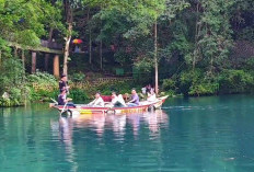 Keajaiban Talaga Biru Cicerem, Air Tetap Biru Saat Musim Hujan