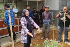 Arunika Kuningan Olah Sampah Jadi Maggot, Dorong Pertanian Terintegras