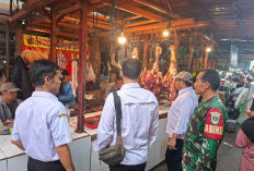 Masuk Bulan Puasa, Harga Daging Ayam di Pasar Masih Tinggi