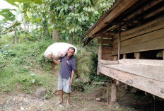 Bertemu KDM di Jalan Desa Kaduela, Sakim Dapat Rezeki Tak Terduga Rp4 Juta