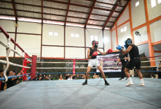 Jadi Magnet Atlet, 30 Petarung Kickboxing Baku Hantam di Jogol Dandim Kuningan Cup 2025