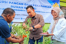 PNM Mekaar Cirebon Buktikan Peran BUMN: Usaha Ultra Mikro Perempuan Tumbuh dan Naik Kelas